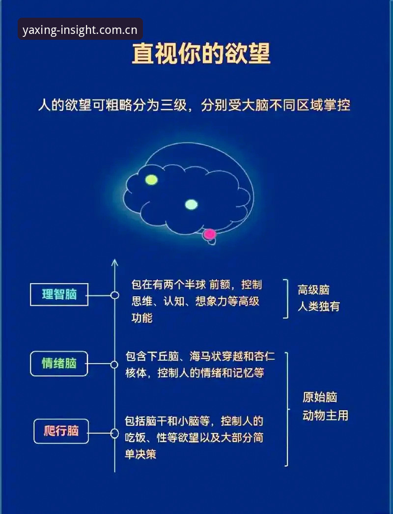 3个核心维度解读索斯盖特纪录片：从“男性圈层”到英格兰队未来前景